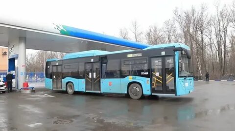 Автобус 38 спб