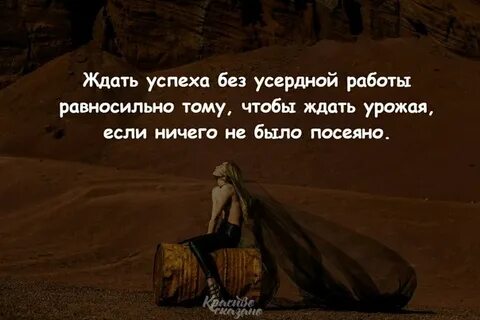 Таковы были два самые усердные
