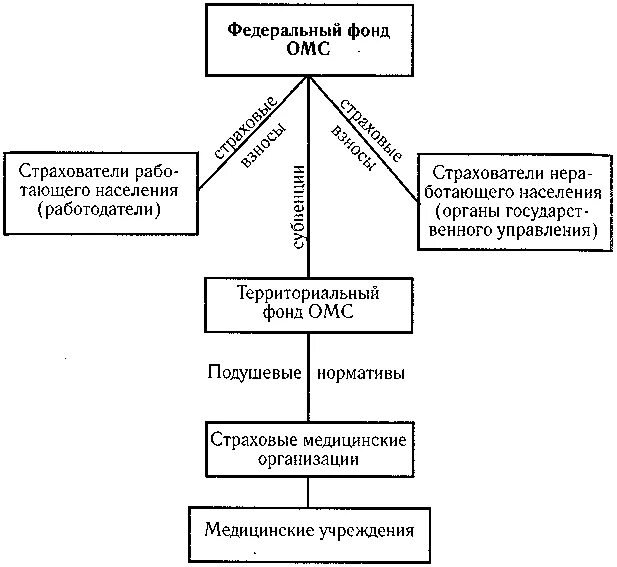 Система ффомс. Структура фонда ОМС схема. Структура ФОМС РФ схема. Структура системы обязательного медицинского страхования. Структура фонда обязательного медицинского страхования РФ.