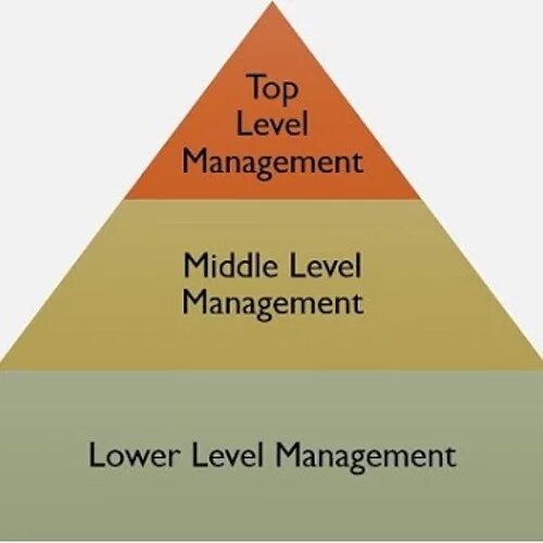 Мидл-менеджмент это. Levels of Management. Middle менеджмент это. Топ менеджмент Мидл менеджмент и. Levels of functioning