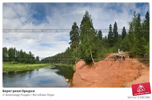 Берег реки оредеж. Сиверская река оредеж. берега реки оредеж. река оредеж ленинградская область. лялин луг сиверский.