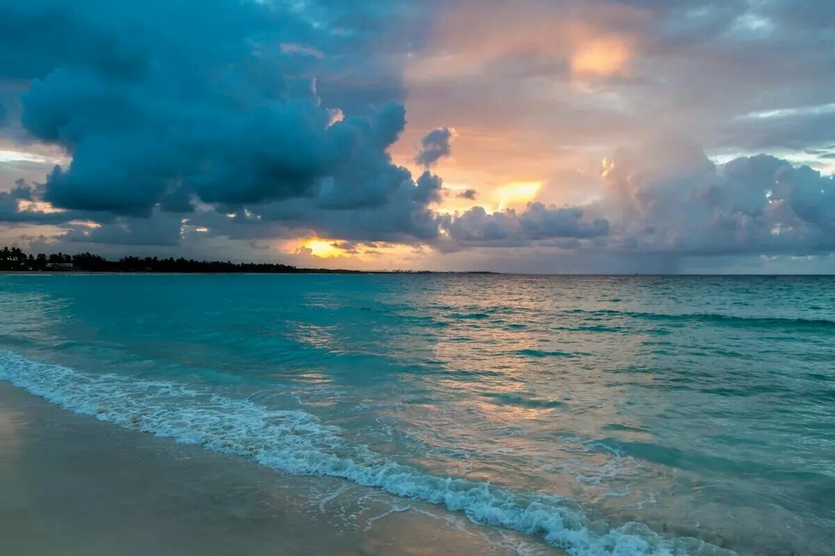 Moray eel calamity. Поцелуй трех морей крит. Морый. Морея голубоглазковая. Каменный мох.