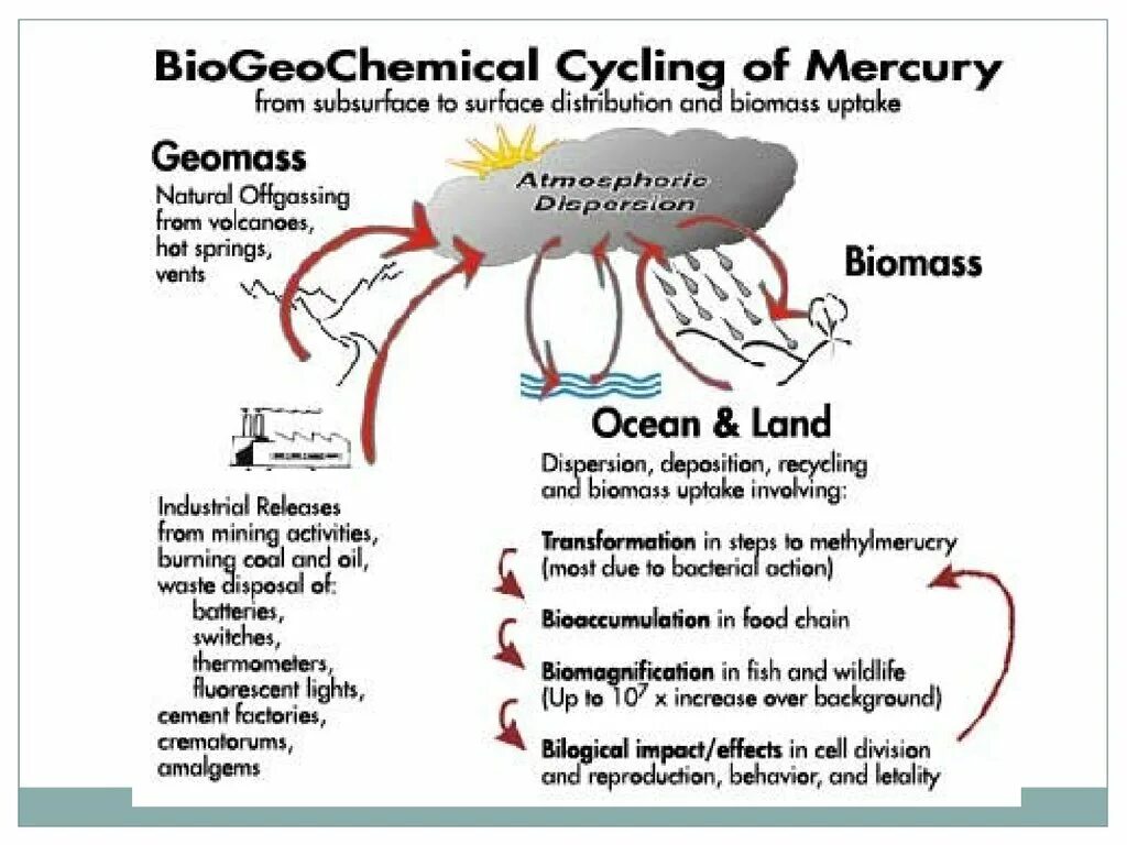 Импакт эффект. Mercury poisoning ppt. Mercury poisoning Map. Chemical poisoning. Toxicokinetics of Mercury.