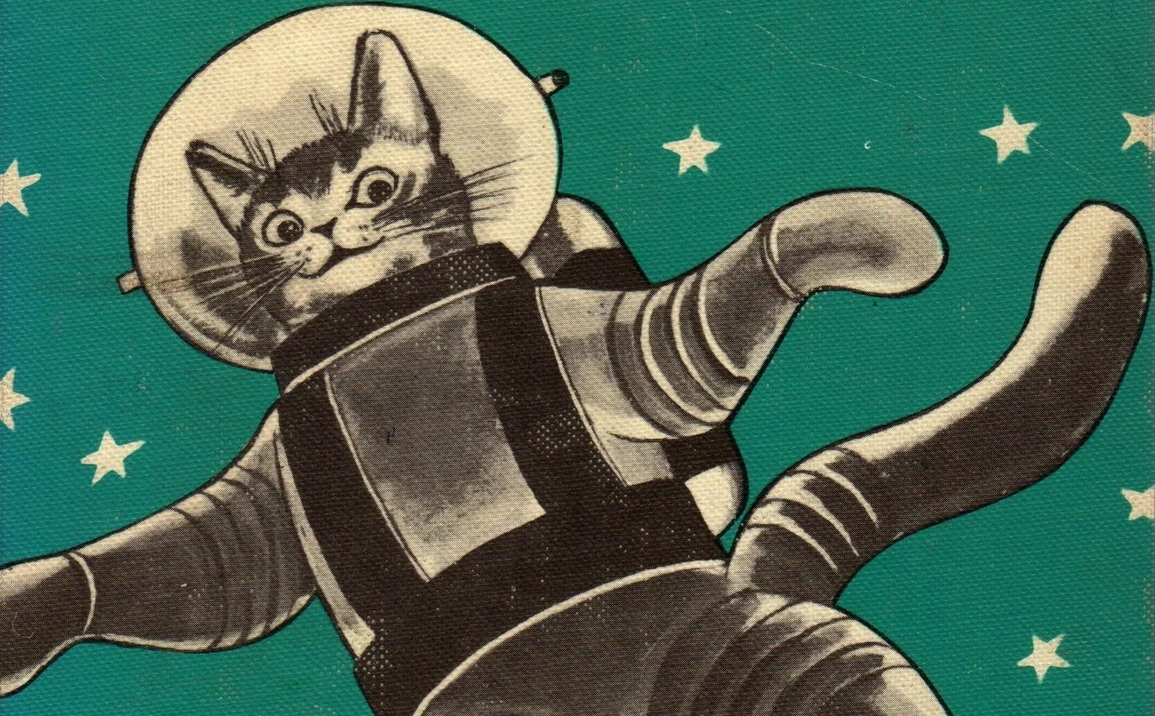 Кот в космосе рисунок. Кот космонавт. Кот в скафандре. Космический кот. Кошка в космосе.