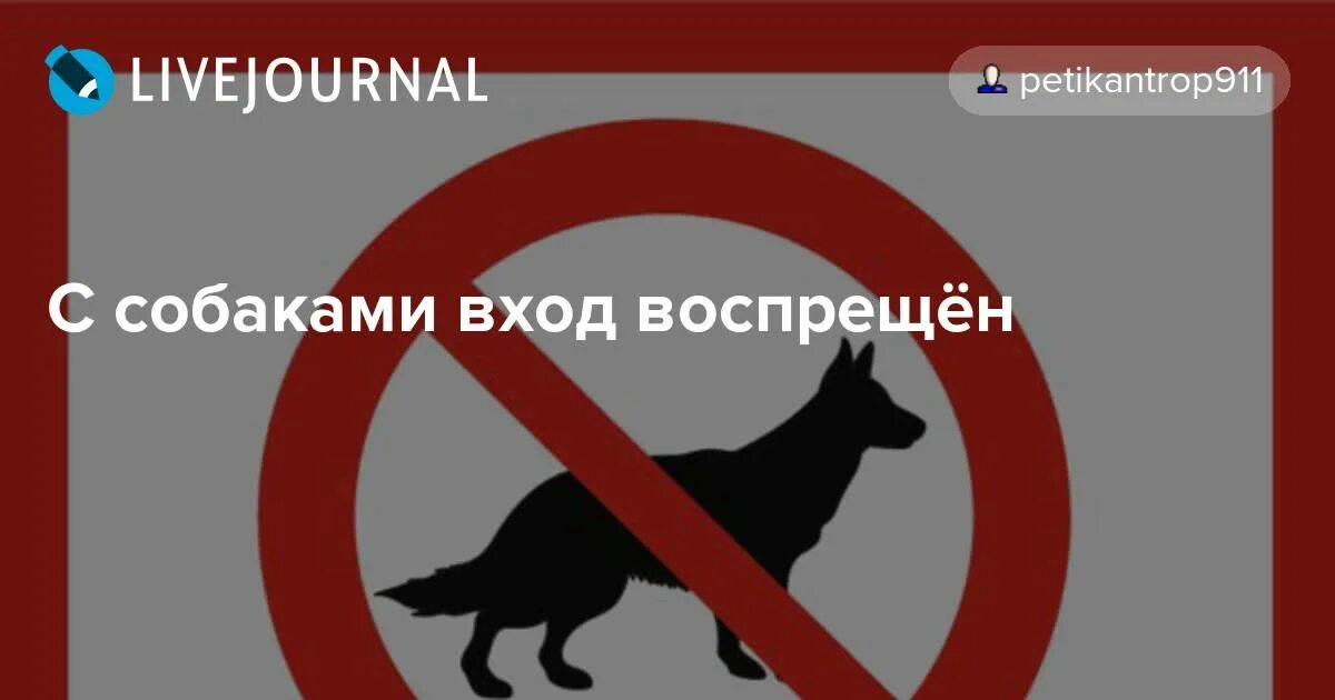 Собакам вход воспрещен!. Медведям вход воспрещен. Табличка собакам вход воспрещен. С собаками и русскими вход воспрещён.