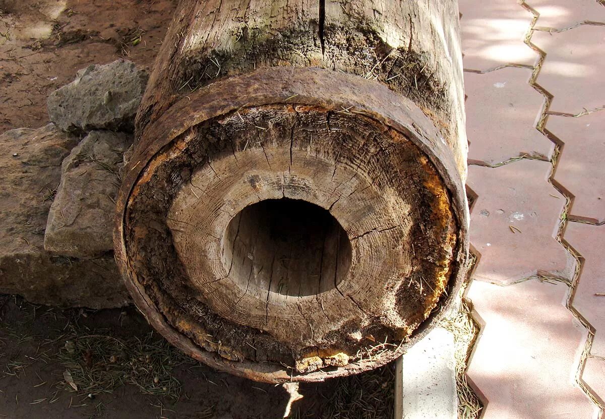 Первый водопровод в Санкт-Петербурге. Деревянные водопроводные трубы. Деревянная труба. Деревянные трубы для водопровода.