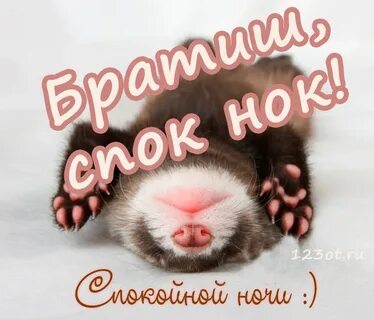 Вечер добр спок