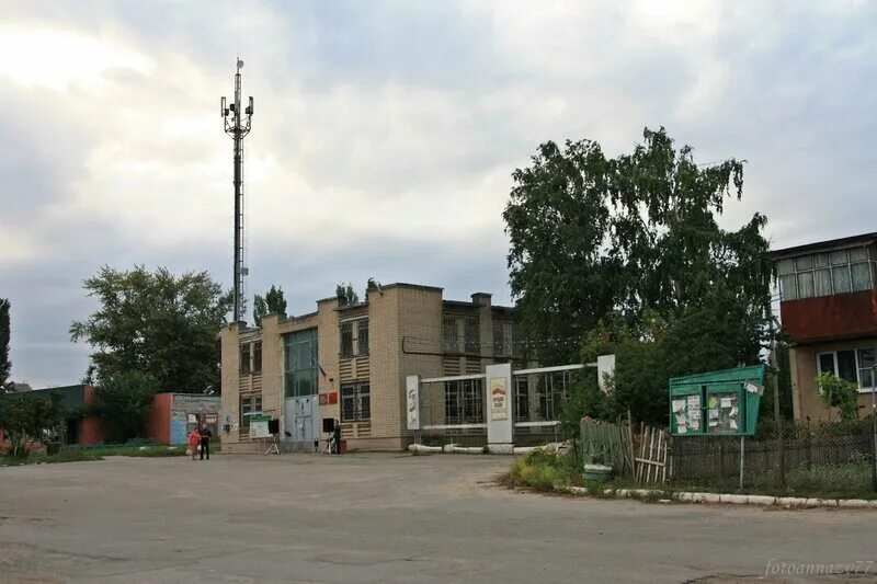 Село частая дубрава липецкая область. Редкая дубрава спортзал. Сенцово казанская церковь. Церковь в частой дубраве липецкая область. Частая дубрава церковь.