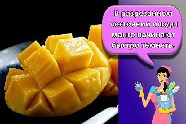Как хранить манго. Тайское манго заморозка. как хранить манго с порезанным. можно ли замораживать манго. как хранить манго разрезанный в домашних условиях.