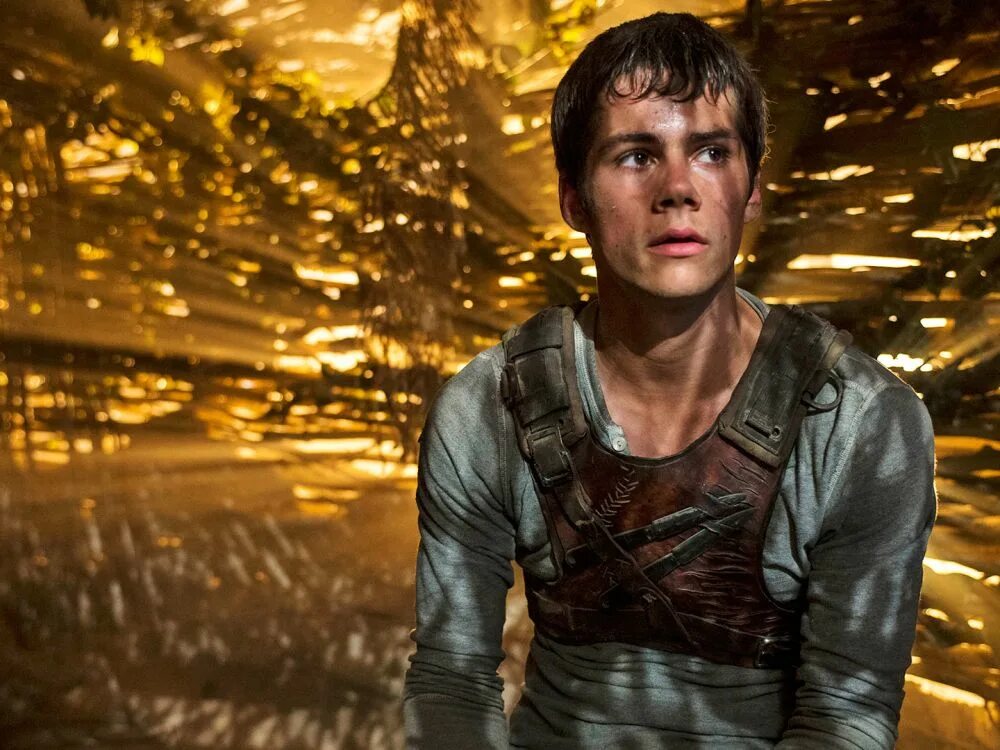 The maze runner watch in english