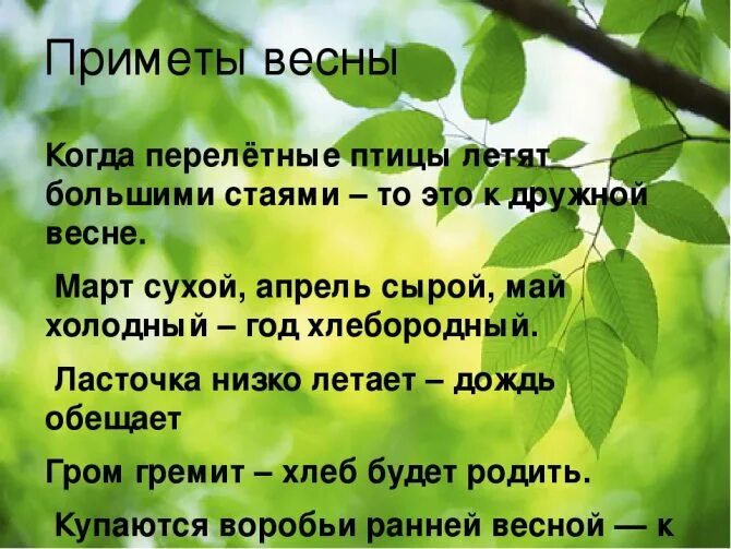 Приметы весны. Приметы весны для 2 класса. Народные приметы о весне. Поговорки о весне 2 класс