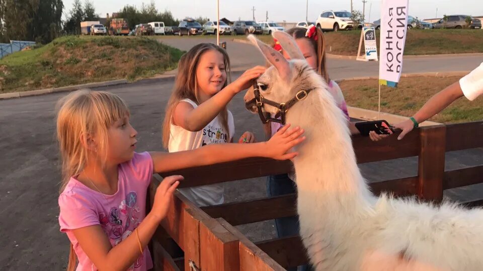 Средняя площадь кск. Такси кск красноуфимск телефон. Приложение кск. Приложение кск. Такси красноуфимск дешевое.