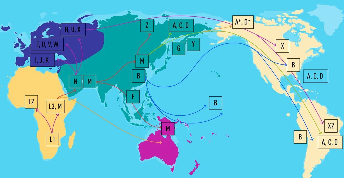 Гаплогруппа народов россии таблица. Гаплогруппа r1a1 внешний вид. Расселение гаплогрупп в мире карта. Гаплогруппа днк русских. Гаплогруппы мтднк карта.