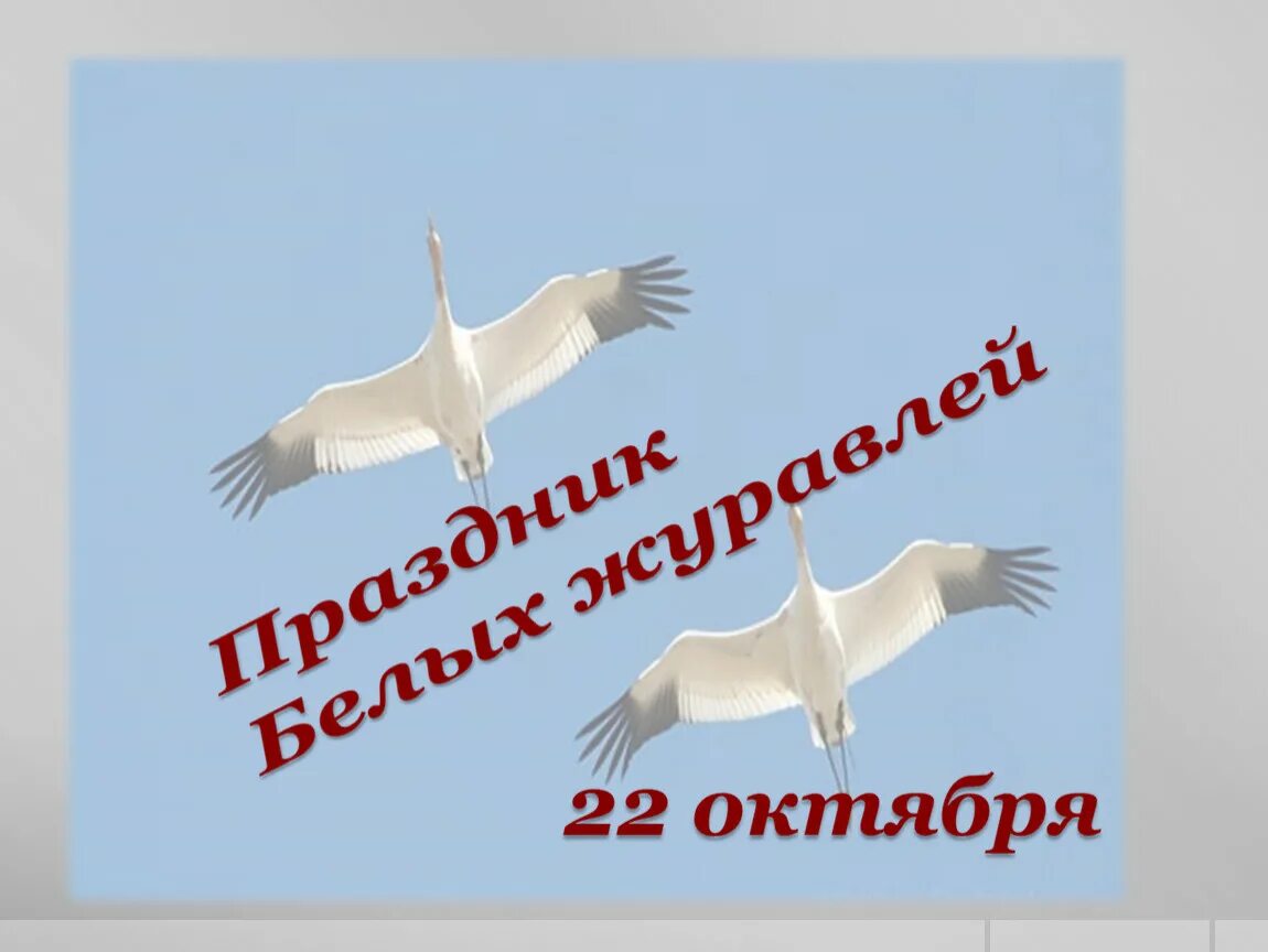 Журавли в память о погибших в теракте. Акция белый Журавлик 22 октября. Праздник белых журавлей. Праздник белых журавлей презентация. Акция день белых журавлей.