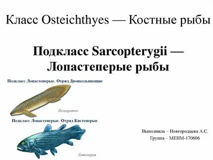 Подклассы костных