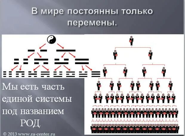 Схема рода человека. Поколения рода. Поколения предков. Род до седьмого колена. Родовая структура.