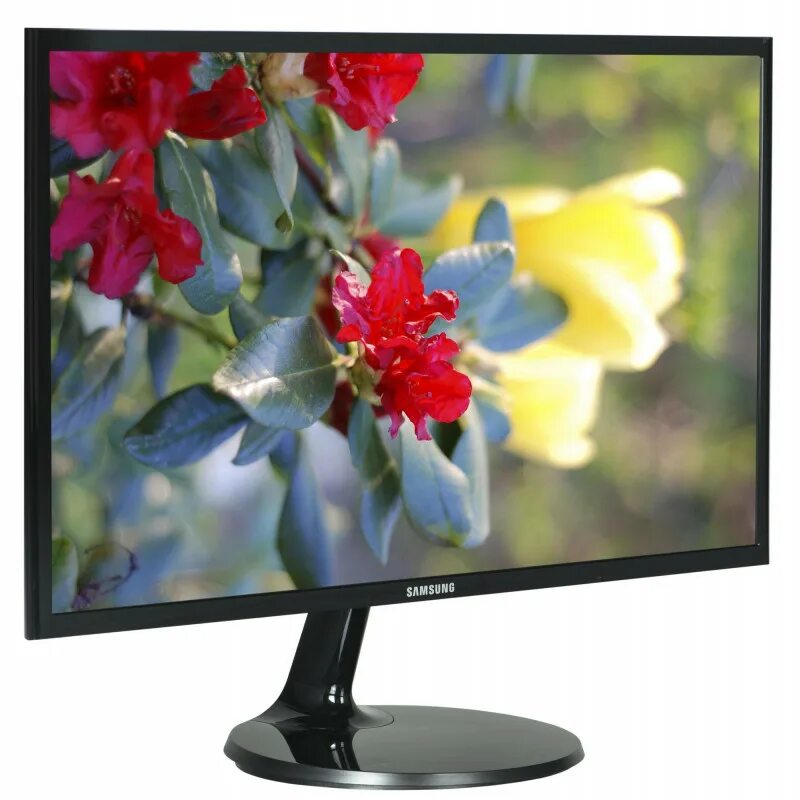 Samsung монитор s24f354. Монитор Samsung 24 дюйма. S24f350 Samsung монитор. 24 Дюйма Samsung led монитор. Samsung 24 дюйма купить