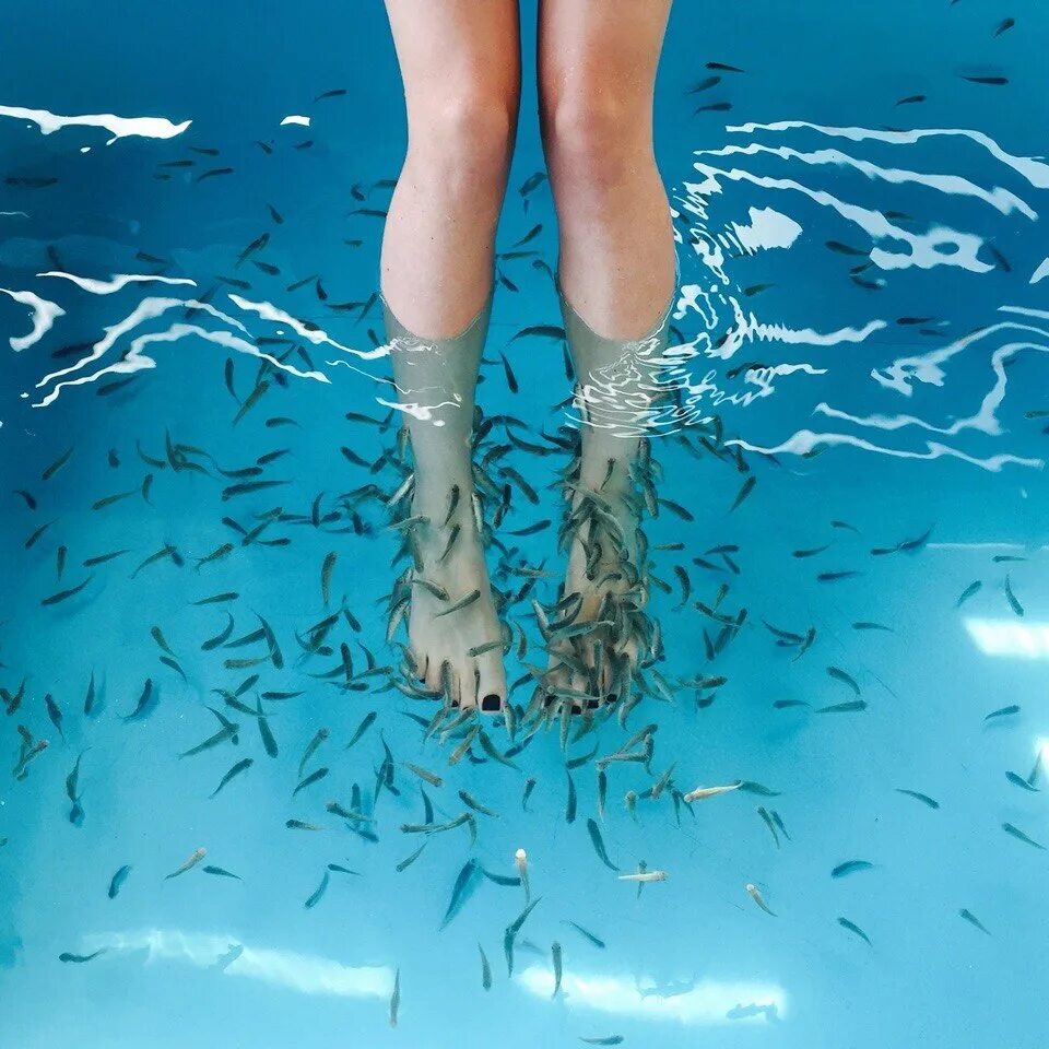 Гарра руфа фиш спа. Гарра руфа рыбки. Пилинг рыбками гарра руфа. Пилинг рыбками гарра руфа. Гара фура рыбка.