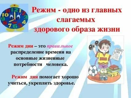 Режим дня правильный здорового образа жизни