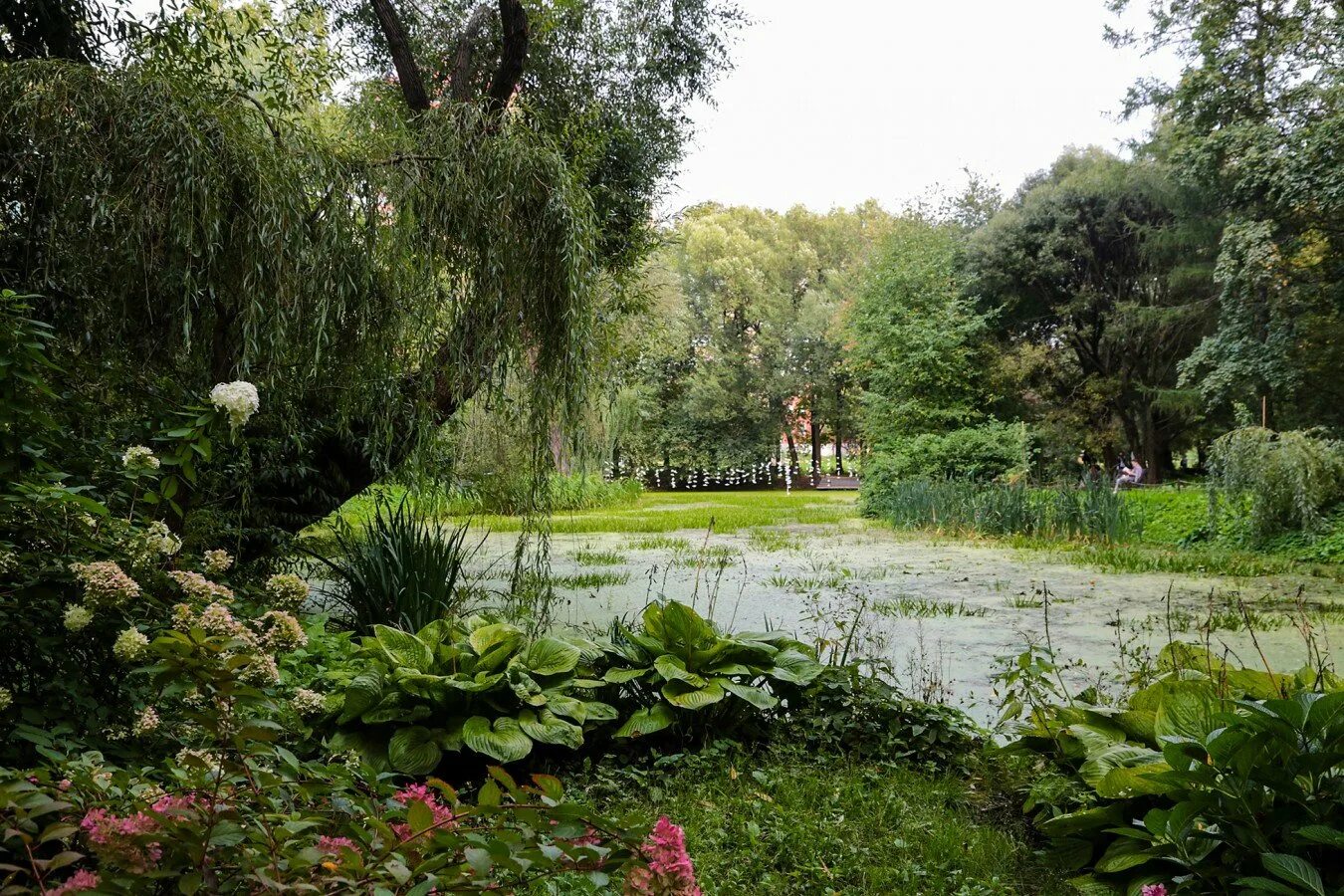 Рига французский сад картинки. Это сад он. Рабатка тунберга. Цицина. Сад биддалф гранж.