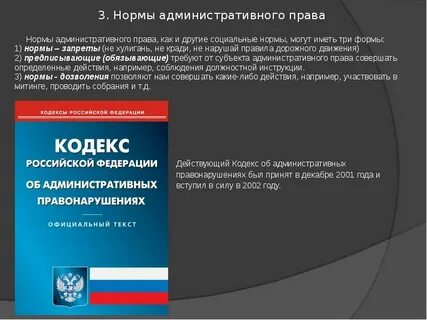 Предписание административное право