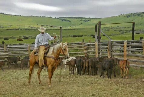 Farms sale