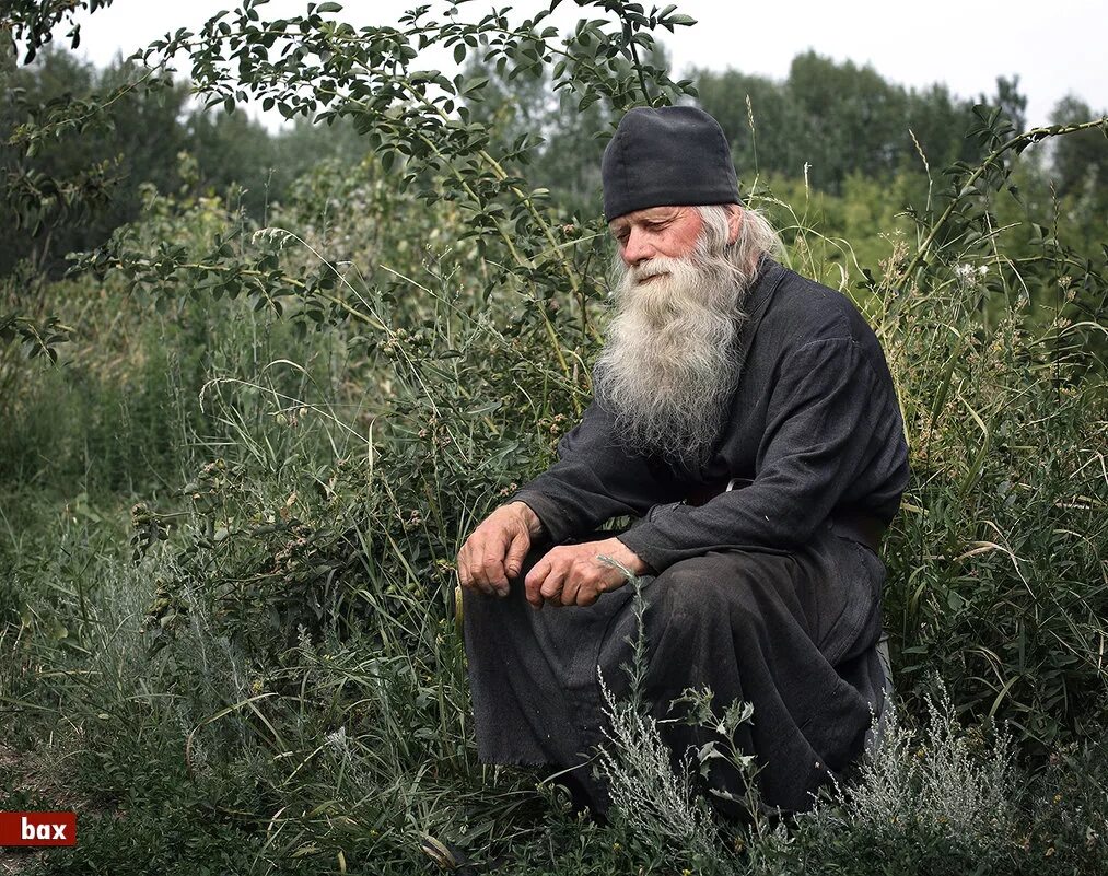 Отшельник проголосовал. Схимонах - пустынник. Монах Антоний Афон.