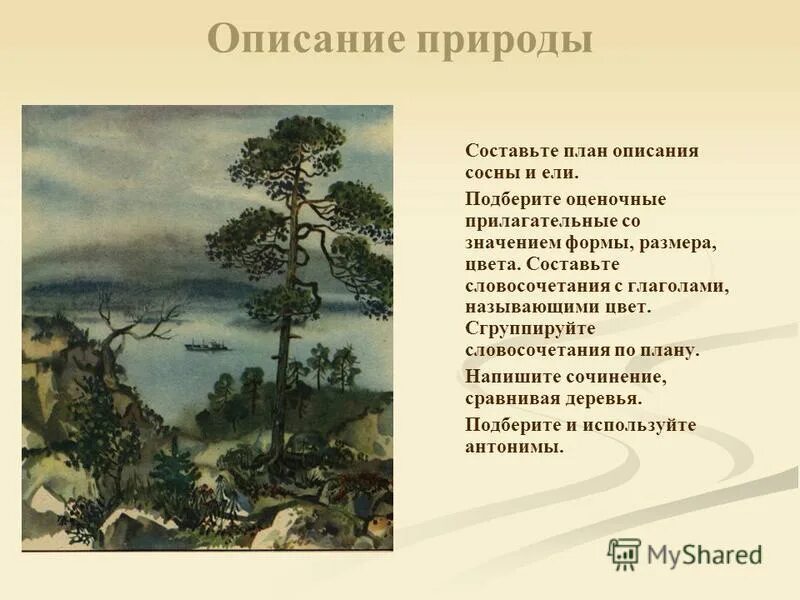 Описание про природу. Описание природы. Красивые описания природы. Сочинение описание природы. План описания природы.