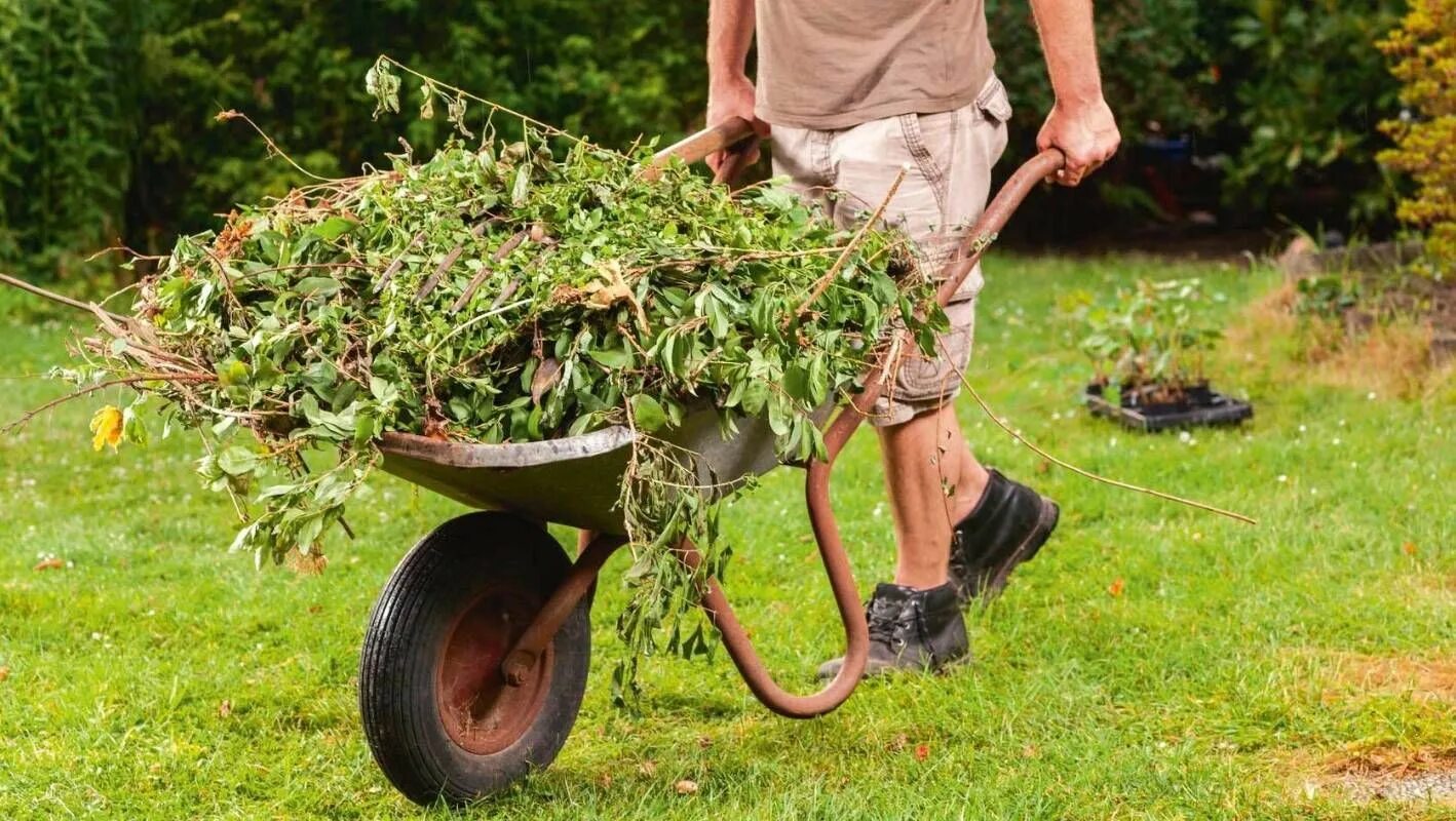 Алоэ джувенна. Ароматические масла. Как использовать пользу. Масло для парилки. Маска для лица с кокосовым маслом.
