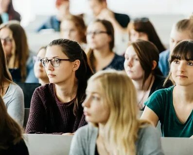 После вуза без работы