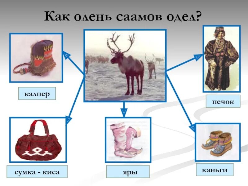 Саамы презентация. Саамы традиционные занятия. Одежда саам для детей. Саамы предметы.