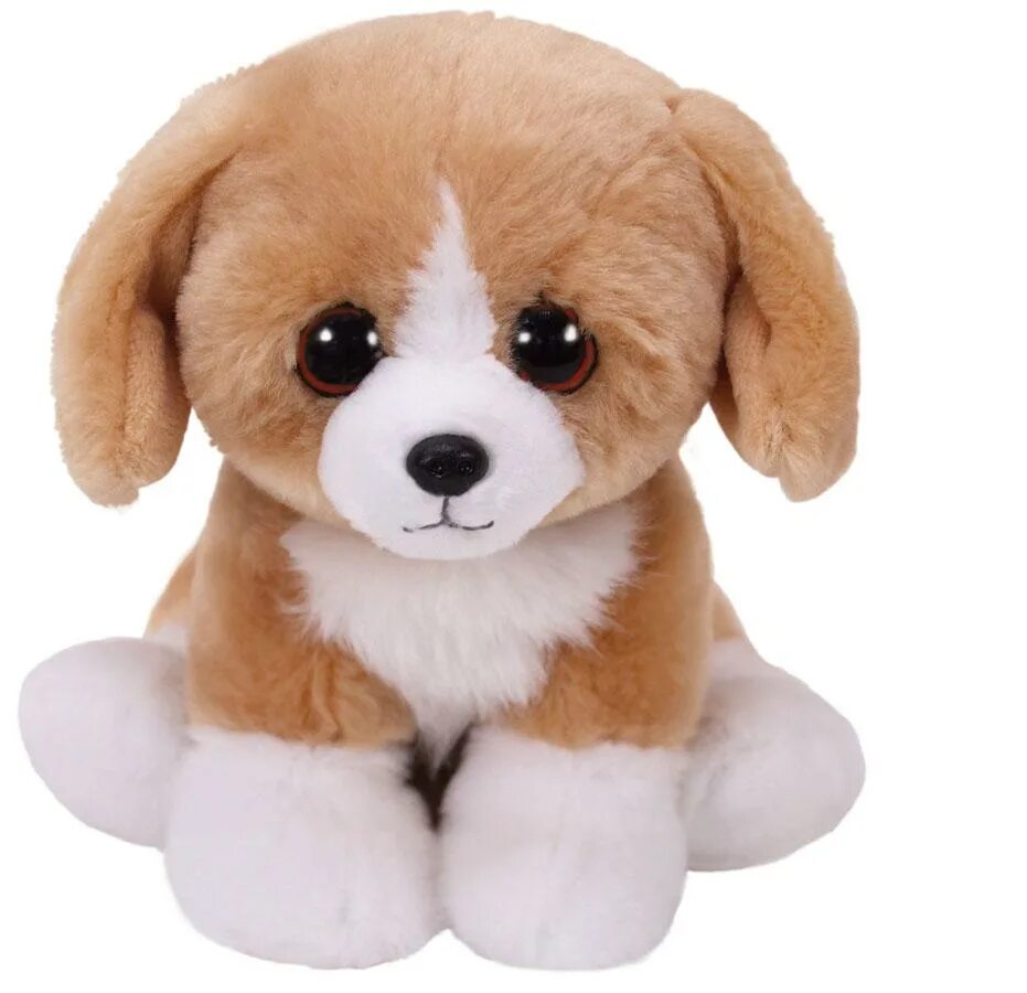 Новошотландский ретривер. Игрушка собаки ty beanie babies. Картинки щенков. Рэт терьер щенки. Красивые собаки.