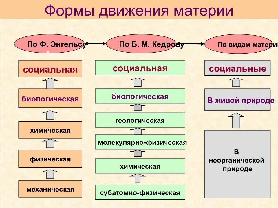 Разнообразием форм и является. Формы движения материи по степени сложности. 5 Форм движения материи. Формы движения материи по Энгельсу схема. Формы движения материи и их взаимосвязь.