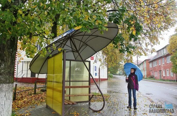 Погода в краснознаменске калининградской обл. Краснознаменск Калининградская область. Краснознаменск Калининград. Краснознаменск Калининградская область Антипенкову. Дачная остановка.