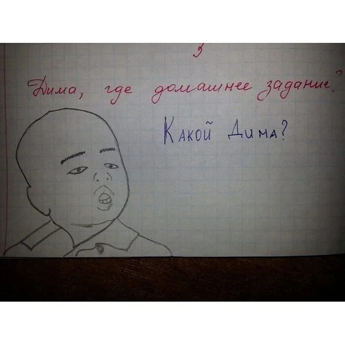 Проверь диму