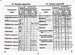 Строевая записка личного состава вс