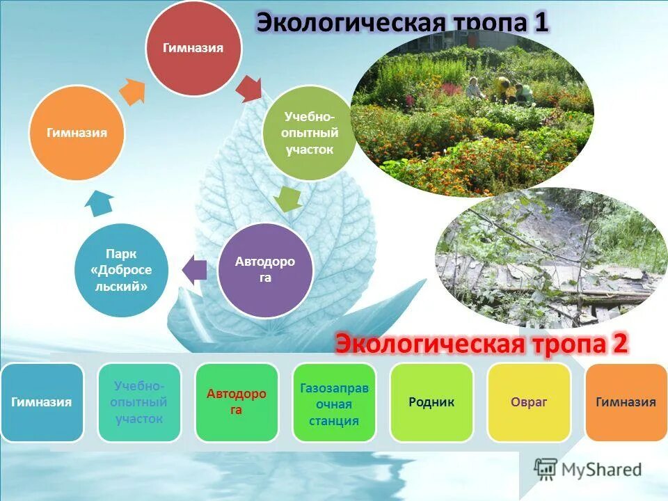 Направления экологической деятельности