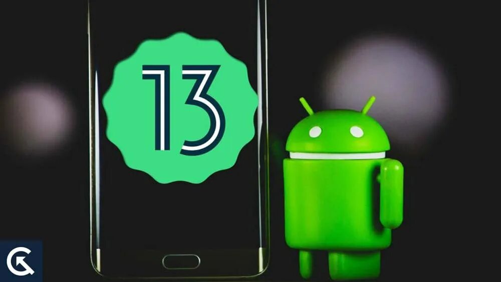 13 network