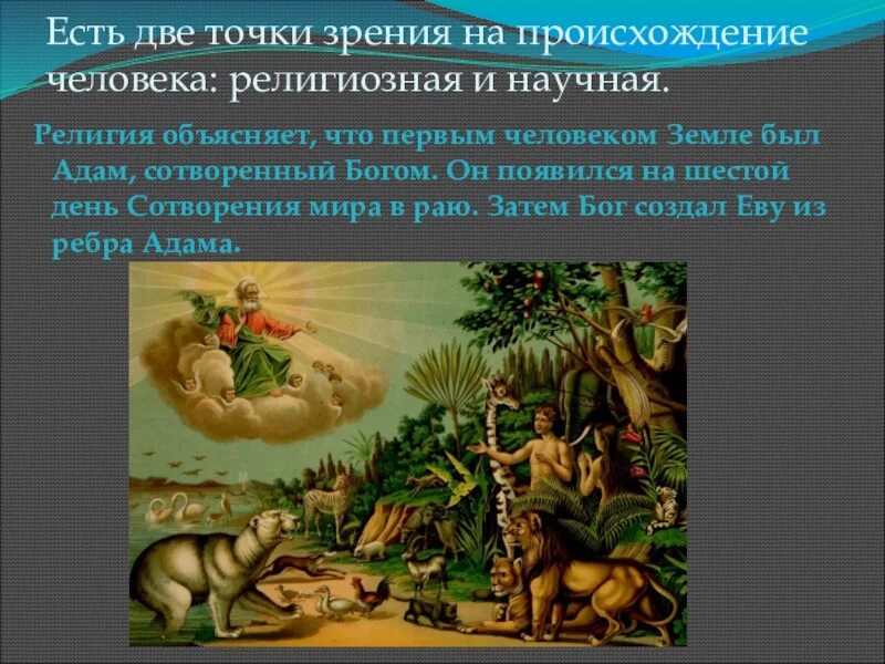 Какие изменения произошли на земле. Возникновение жизни на земле. зарождение человека на земле. происхождение человека на земле. возникновение человечества на земле.
