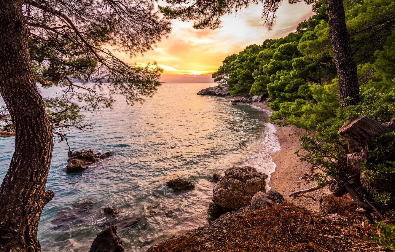 Лес возле моря. Лес возле моря. Крымские пейзажи. Море скалы сосны лазурный берег франции. Тропинка к озеру.
