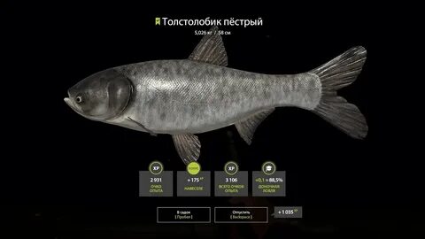 Рр4 сура