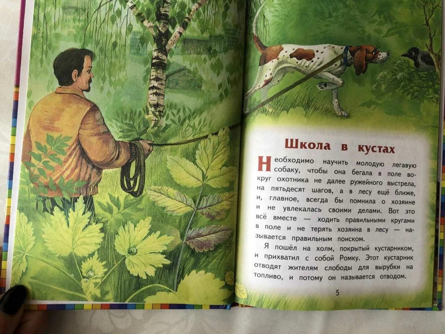 Найти рассказ м. Сказки м м Пришвина для детей. М Пришвина для 3 класса. Книга о животных Бианки пришвин.