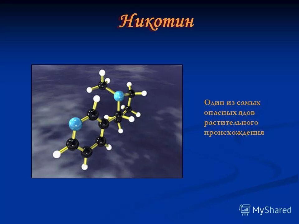 формула никотина в химии. никотин. 12. дозировка никотина. молекула никотина.