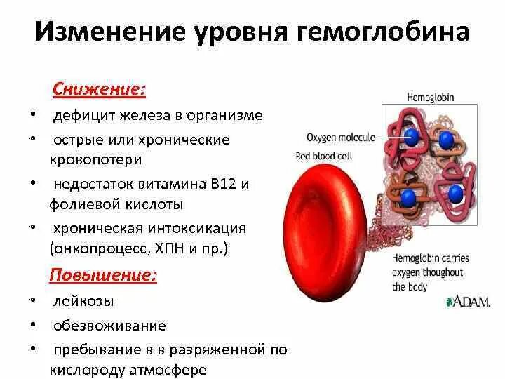 Почему может быть низкий гемоглобин. Снижение уровня гемоглобина в крови. Низкий гемоглобин симптомы. Причины снижения гемоглобина. Причины низкого гемоглобина.