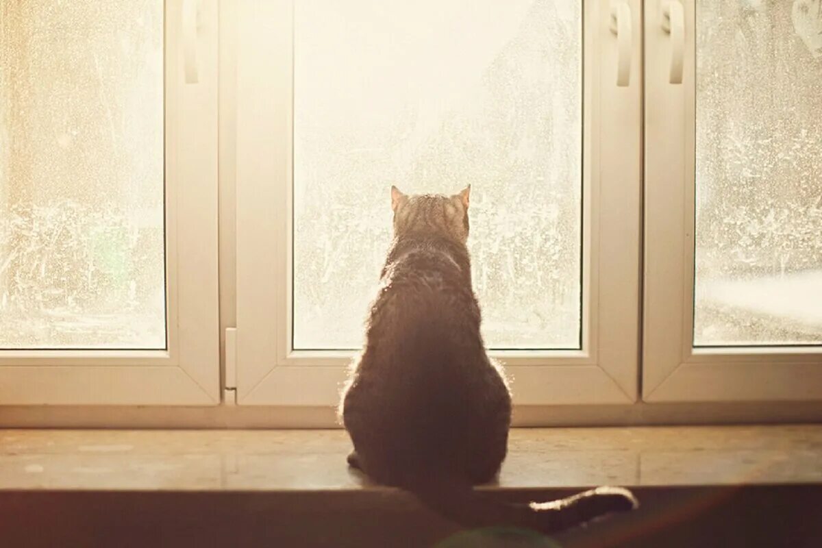 Wait window