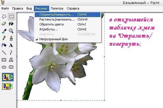 Как отразить и повернуть рисунок. Как повернуть рисунок в paint. как повернуть картинку в паинте. отразить повернуть в паинте. как отразить и повернуть рисунок в paint.