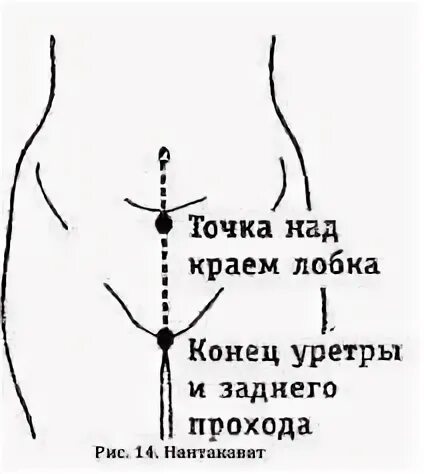 Линии сен. Меридианы массаж. Энергетические линии в тайском массаже. Меридианы ци. 12 энергетических меридианов человека.