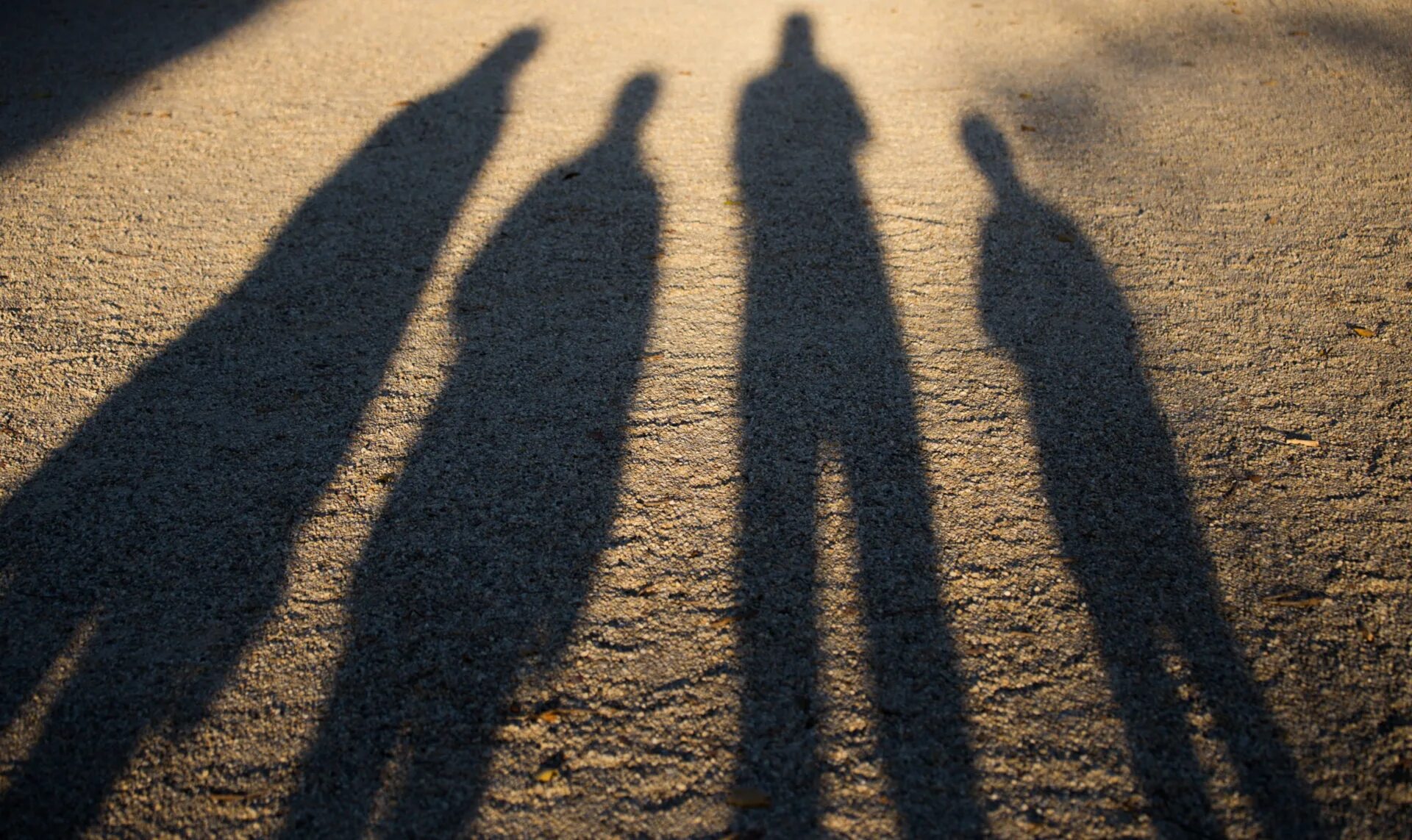 женский силуэт. тень человека на стене. тень человека на стене. тень фото. тень девушки.