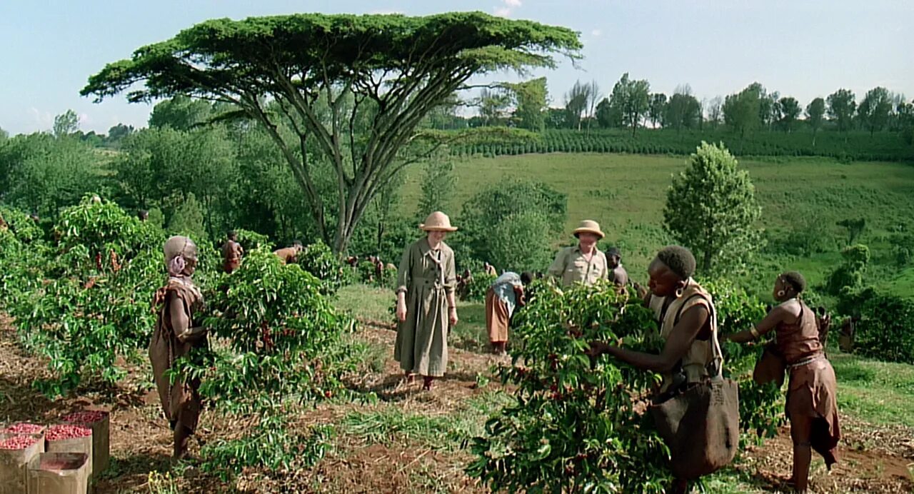 Затерянные в Африке 1994. Out of africa