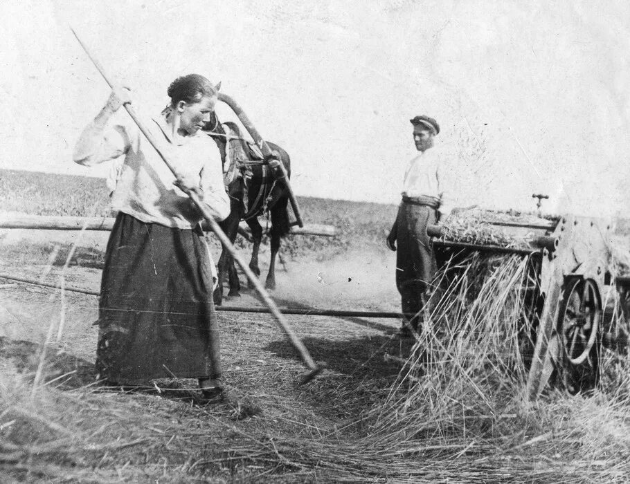 Традиционные занятия марийцев. Пашенное земледелие марийцев. традиционныезанятия мари. земледелие мордвы.